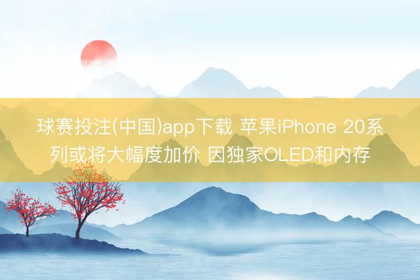 球赛投注(中国)app下载 苹果iPhone 20系列或将大幅度加价 因独家OLED和内存