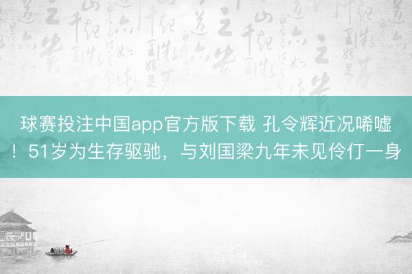 球赛投注中国app官方版下载 孔令辉近况唏嘘！51岁为生存驱驰，与刘国梁九年未见伶仃一身