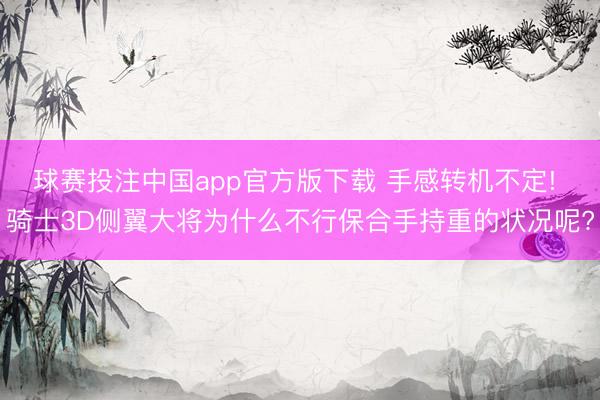 球赛投注中国app官方版下载 手感转机不定! 骑士3D侧翼大将为什么不行保合手持重的状况呢?