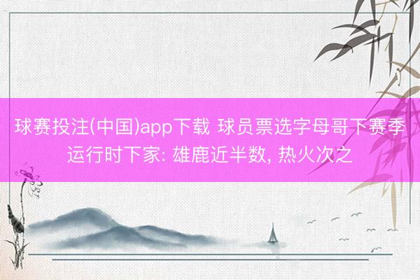 球赛投注(中国)app下载 球员票选字母哥下赛季运行时下家: 雄鹿近半数， 热火次之