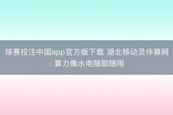 球赛投注中国app官方版下载 湖北移动灵伴算网: 算力像水电随取随用
