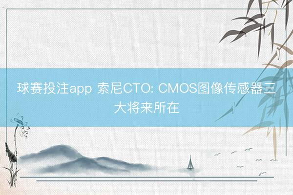 球赛投注app 索尼CTO: CMOS图像传感器三大将来所在