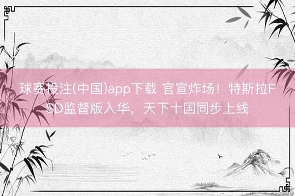球赛投注(中国)app下载 官宣炸场!特斯拉FSD监督版入华,天下十国同步上线