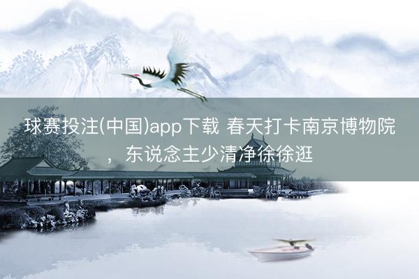 球赛投注(中国)app下载 春天打卡南京博物院，东说念主少清净徐徐逛
