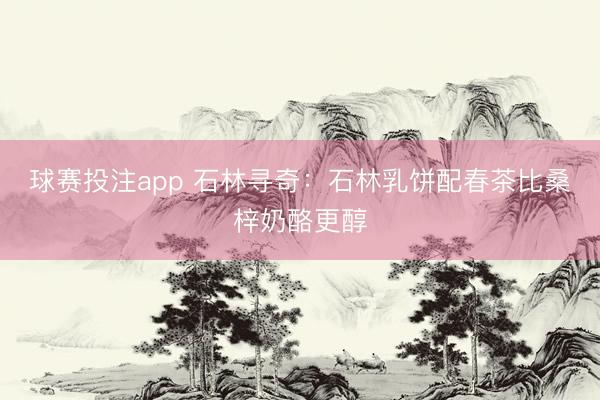 球赛投注app 石林寻奇：石林乳饼配春茶比桑梓奶酪更醇