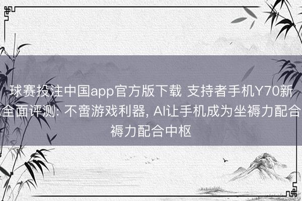 球赛投注中国app官方版下载 支持者手机Y70新一代全面评测: 不啻游戏利器， AI让手机成为坐褥力配合中枢