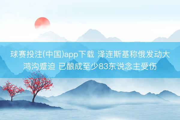 球赛投注(中国)app下载 泽连斯基称俄发动大鸿沟蹙迫 已酿成至少83东说念主受伤