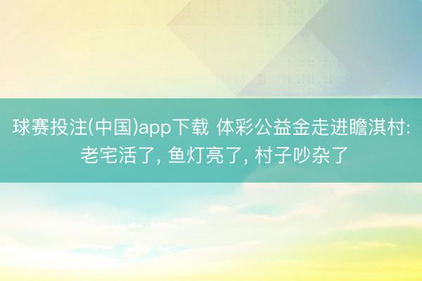 球赛投注(中国)app下载 体彩公益金走进瞻淇村: 老宅活了， 鱼灯亮了， 村子吵杂了