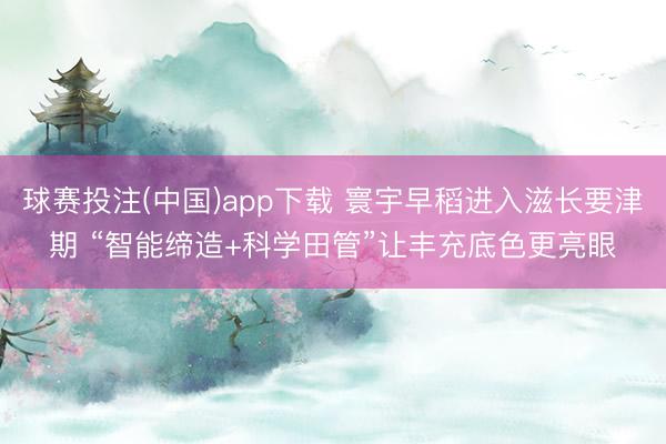 球赛投注(中国)app下载 寰宇早稻进入滋长要津期 “智能缔造+科学田管”让丰充底色更亮眼
