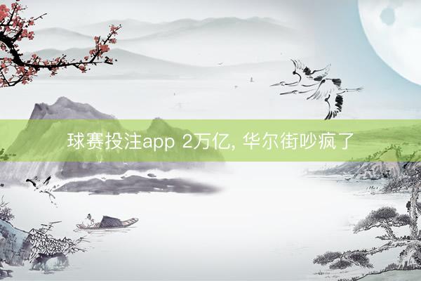 球赛投注app 2万亿， 华尔街吵疯了