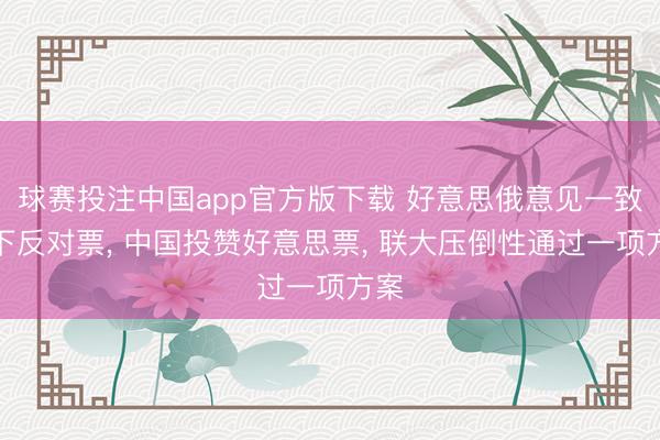球赛投注中国app官方版下载 好意思俄意见一致投下反对票， 中国投赞好意思票， 联大压倒性通过一项方案