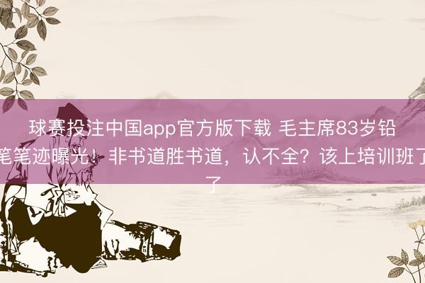球赛投注中国app官方版下载 毛主席83岁铅笔笔迹曝光！非书道胜书道，认不全？该上培训班了