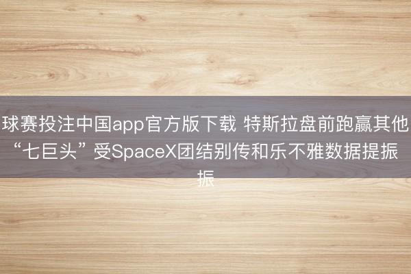 球赛投注中国app官方版下载 特斯拉盘前跑赢其他“七巨头” 受SpaceX团结别传和乐不雅数据提振