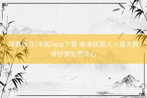 球赛投注(中国)app下载 香港跃居人人最大跨境钞票处罚中心