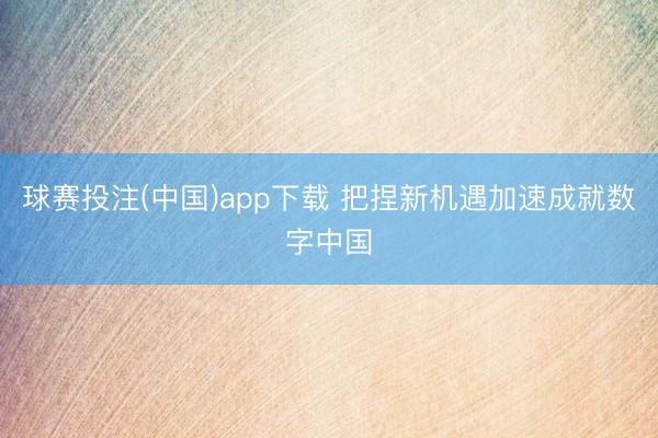 球赛投注(中国)app下载 把捏新机遇加速成就数字中国