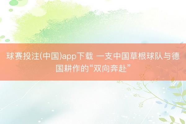 球赛投注(中国)app下载 一支中国草根球队与德国耕作的“双向奔赴”