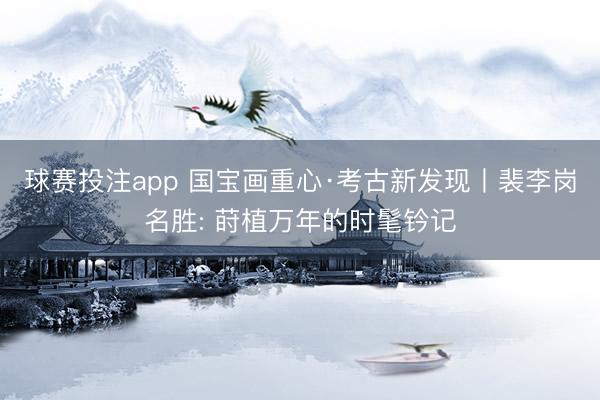 球赛投注app 国宝画重心·考古新发现丨裴李岗名胜: 莳植万年的时髦钤记