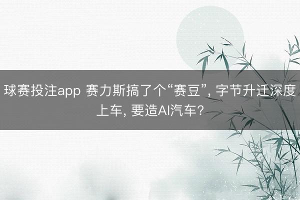 球赛投注app 赛力斯搞了个“赛豆”， 字节升迁深度上车， 要造AI汽车?