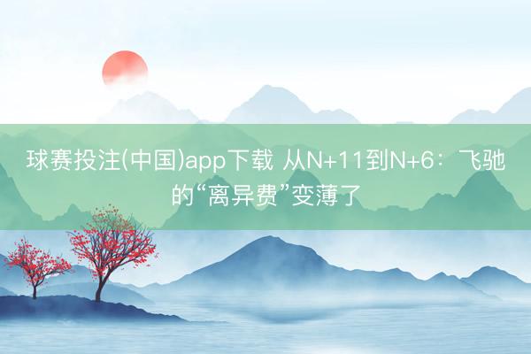 球赛投注(中国)app下载 从N+11到N+6：飞驰的“离异费”变薄了
