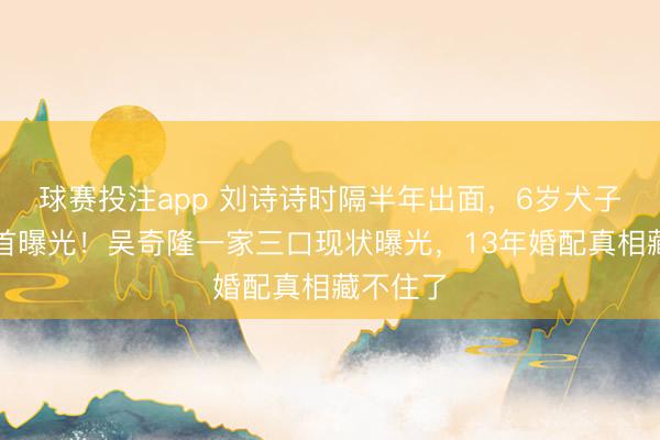 球赛投注app 刘诗诗时隔半年出面，6岁犬子正面照首曝光！吴奇隆一家三口现状曝光，13年婚配真相藏不住了