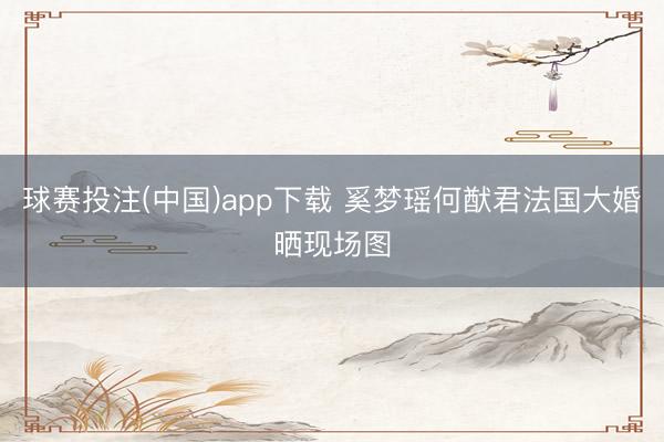 球赛投注(中国)app下载 奚梦瑶何猷君法国大婚晒现场图