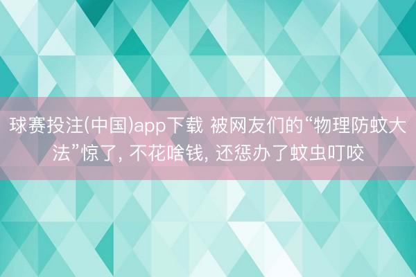 球赛投注(中国)app下载 被网友们的“物理防蚊大法”惊了， 不花啥钱， 还惩办了蚊虫叮咬