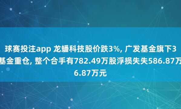 球赛投注app 龙蟠科技股价跌3%， 广发基金旗下3只基金重仓， 整个合手有782.49万股浮损失失586.87万元