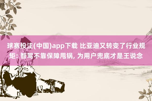 球赛投注(中国)app下载 比亚迪又转变了行业规矩: 智驾不靠保障甩锅, 为用户兜底才是王说念