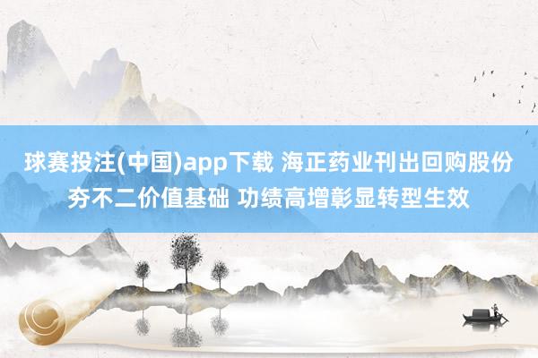 球赛投注(中国)app下载 海正药业刊出回购股份夯不二价值基础 功绩高增彰显转型生效